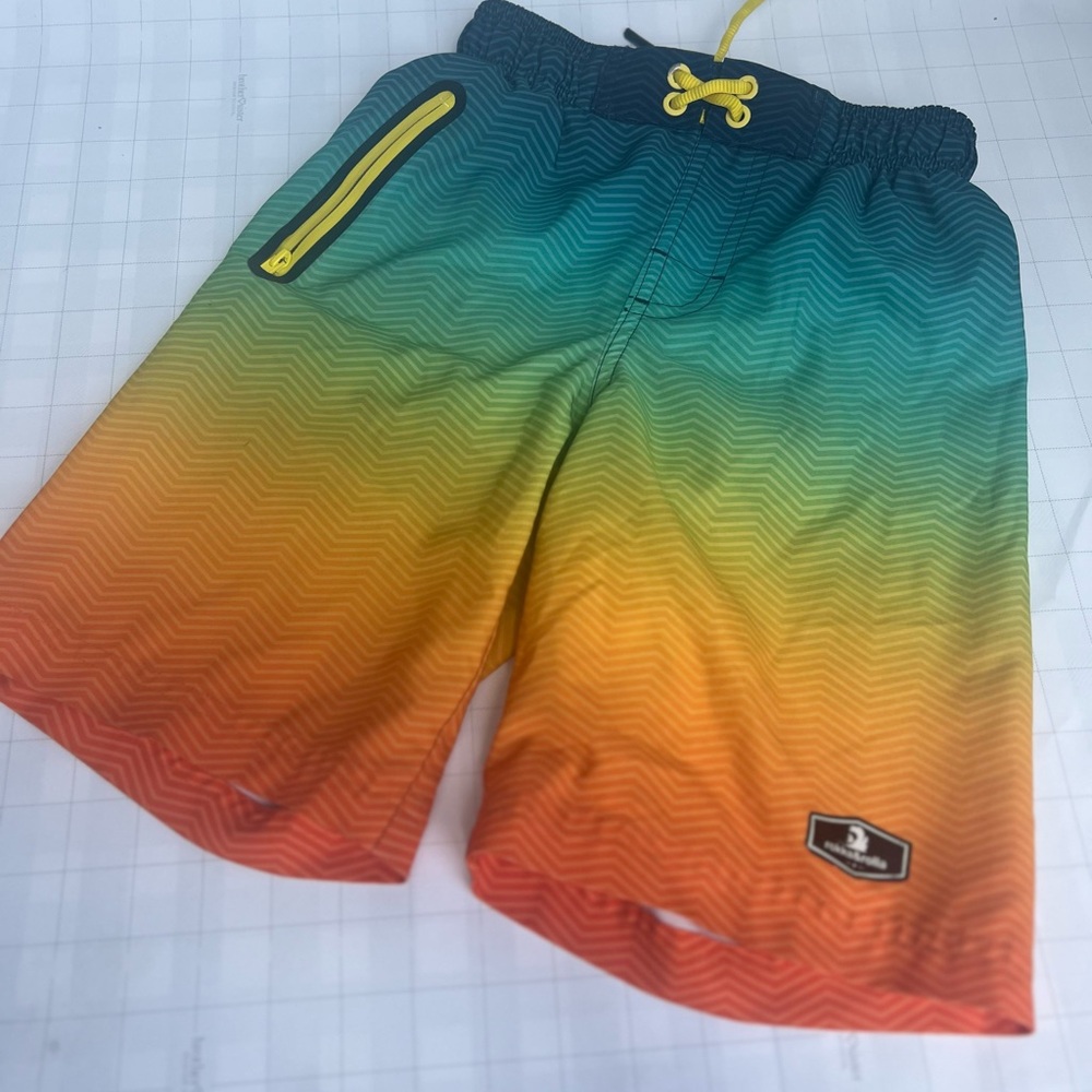 Multicolor Gradient Swim Shorts
